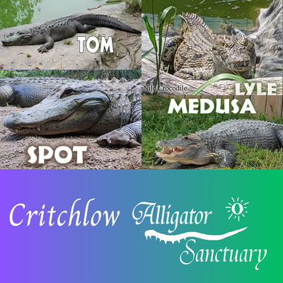 Critchlow Alligator Sanctuary