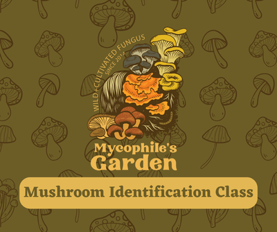 Mushroom Identification Class