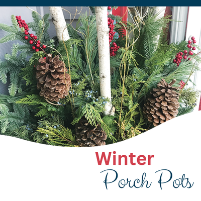 Winter Porch Pots